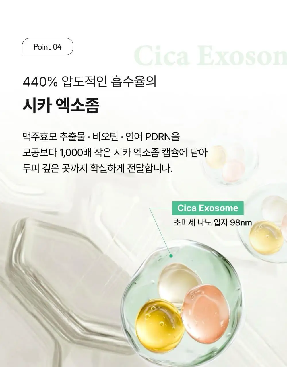 [5종임상완료/4주탈모케어] 애쉬로렌 맥주효모 바이탈 스칼프 앰플 100ml 상세페이지 33